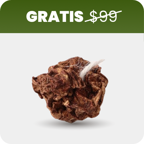 5 Frutas Silvervine por Pack