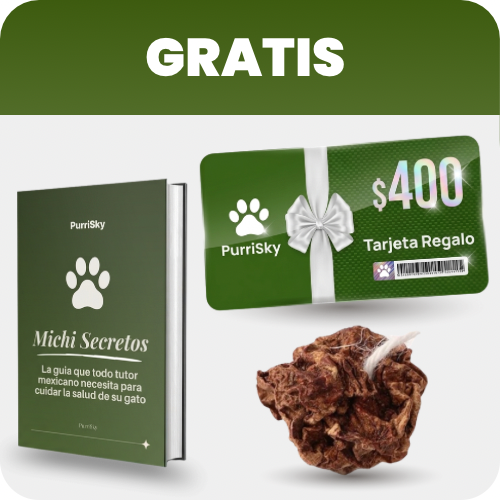 +3 REGALOS GRATIS