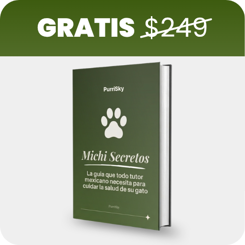 +2 REGALOS GRATIS