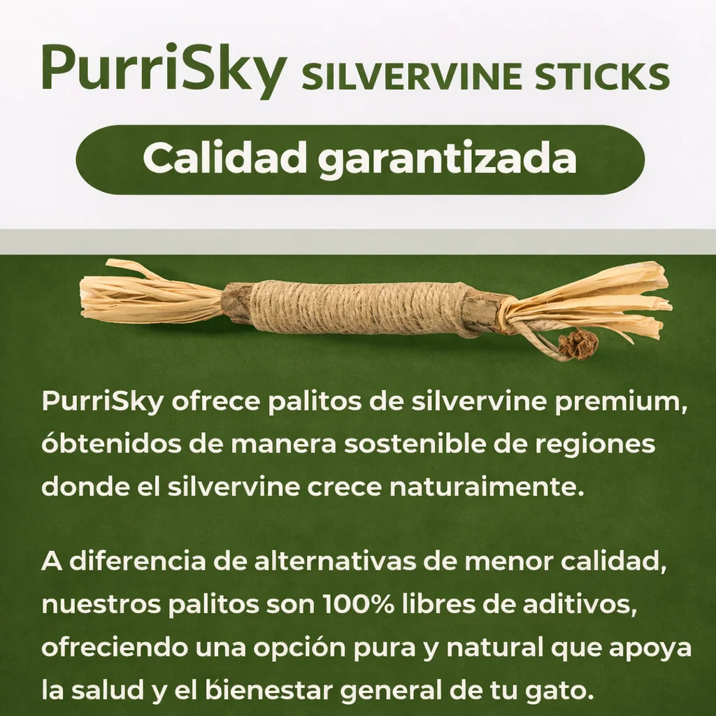 Palitos Dentales PurriSky: prueba