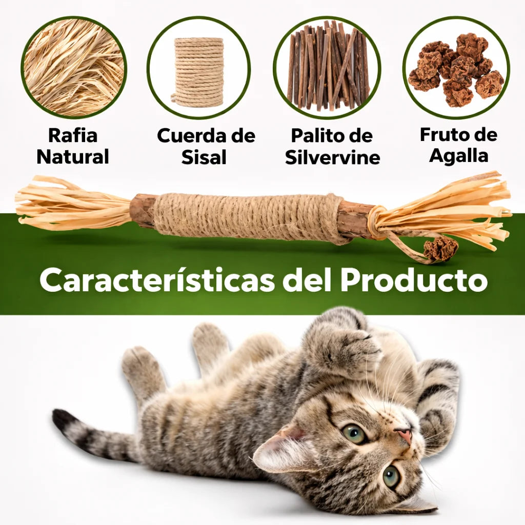 Palitos Dentales PurriSky: prueba