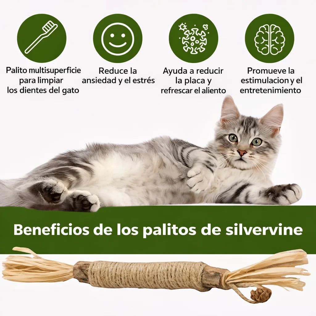 Palitos Dentales PurriSky: prueba