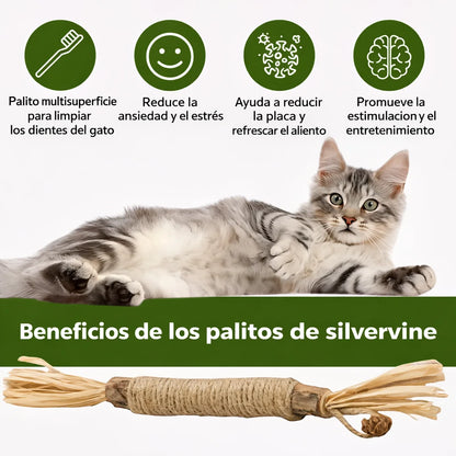 Palitos Dentales PurriSky: prueba