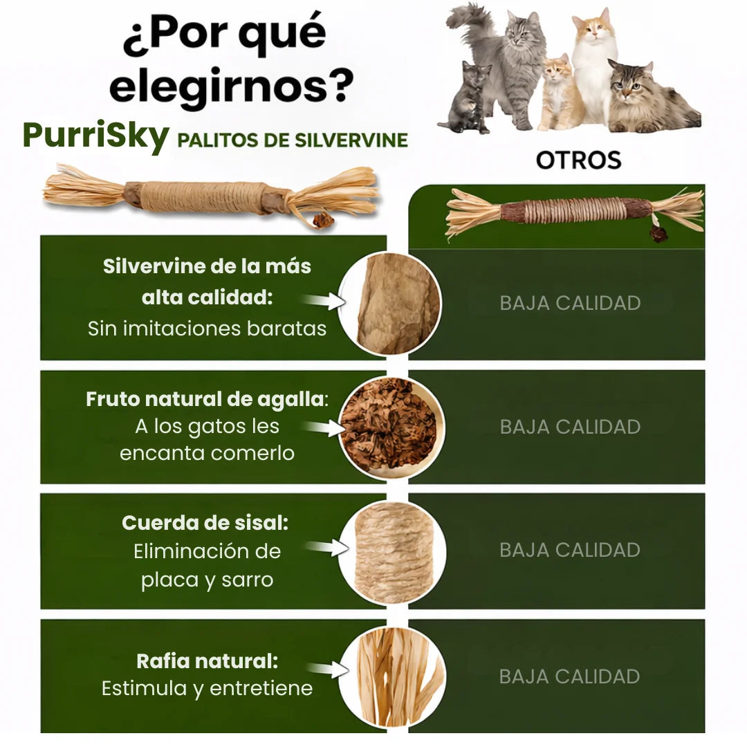 Palitos Dentales PurriSky: prueba