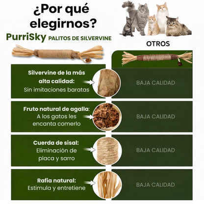 Palitos Dentales PurriSky: prueba